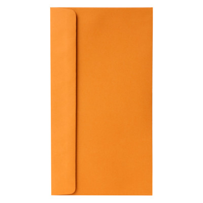 Xấp 10 Bao Thư Digno Giấy Grap Tmg-8644 (12 x 22 cm) - Màu Ngẫu Nhiên