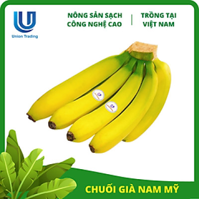 Chuối Tươi Union Trading - Nải 1Kg - Thơm Dẻo, Giàu Dinh Dưỡng - Trồng Công Nghệ Cao Tại Việt Nam