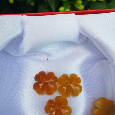 Mặt Bông Hoa cỏ 4 lá màu vàng cam nữ phối vòng tay,làm mặt nhẫn Chất liệu đá cẩm thạch size hạt 14mm x dầy 6mm Nữ về phối với vòng tay của mình đeo hay làm mặt nhẫn mặt dây chuyền đeo xinh ạ