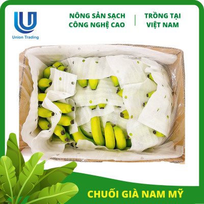 Chuối Tươi Union Trading - Thùng 13Kg - Thơm Dẻo, Giàu Dinh Dưỡng - Trồng Công Nghệ Cao Tại Việt Nam