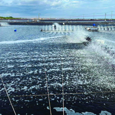 Lắng tụ hữu cơ ao tôm AQUA BLOCK