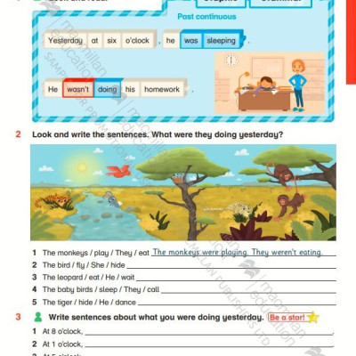 Academy Stars Level 4 Pupils Book Pack