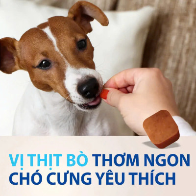Nexgard - Viên Nhai Phòng Và Diệt Ve Rận, Bọ Chét, Ghẻ Demodex Dành Cho Chó (1 Viên)