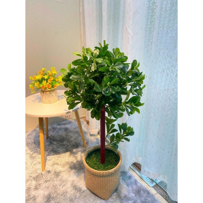 Cây hạnh phúc giả - Size từ 90cm đến 140cm - Kèm chậu phủ rêu - Cây giả, hoa lụa Decor trang trí nhà cửa
