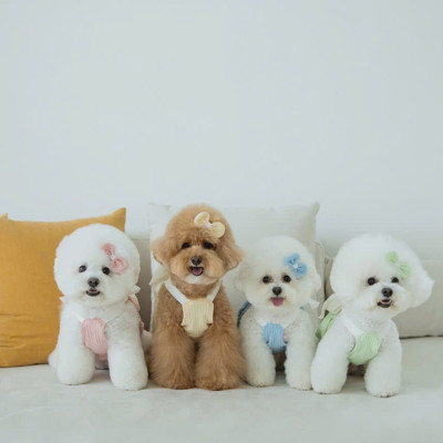 VÁY HỒNG NƠ XINH TỪ 1-7KG DÀNH CHO CHÓ MÈO