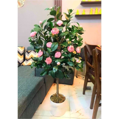 Cây hoa trà mi giả - Size 100cm đến 160cm - Cây giả, hoa lụa Decor trang trí nhà cửa