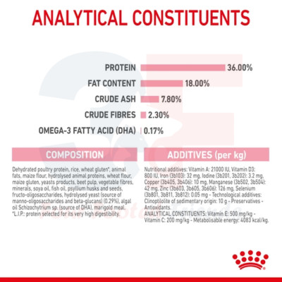 Thức Ăn Cho Mèo Con Từ 4-12 Tháng Tuổi Royal Canin Kitten 36