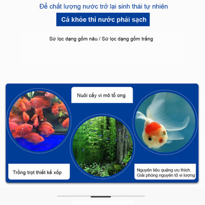 Sứ lọc bể cá (2kg) vật liệu lọc hồ cá, bể cá cảnh