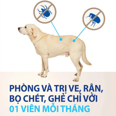 Nexgard - Viên Nhai Phòng Và Diệt Ve Rận, Bọ Chét, Ghẻ Demodex Dành Cho Chó (1 Viên)