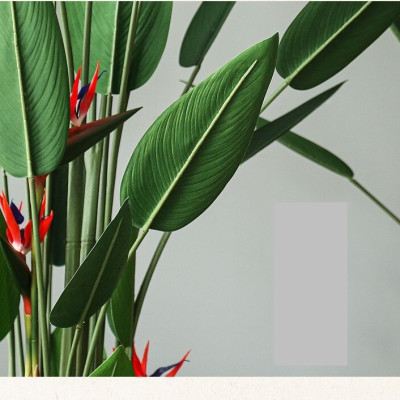 Cây thiên điểu lá nhọn giả - Size từ 120cm, 160cm, 180cm - Cây giả, hoa lụa Decor trang trí nhà cửa