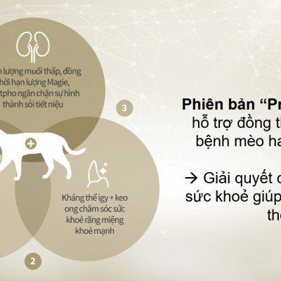 [1.5KG]  - Thức ăn hạt Cat