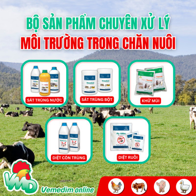 Thuốc mỡ bôi ngoài da trị ghẻ, xà mâu, viêm da cho chó, mèo Vemedim Diptivet - Tube 30g