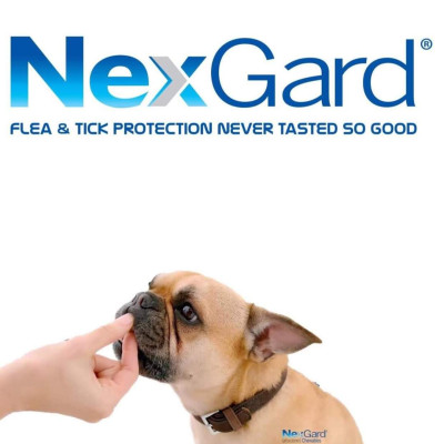 1 viên NexGard trị ghẻ, viêm da, ve rận (chó từ 4 - 10kg)
