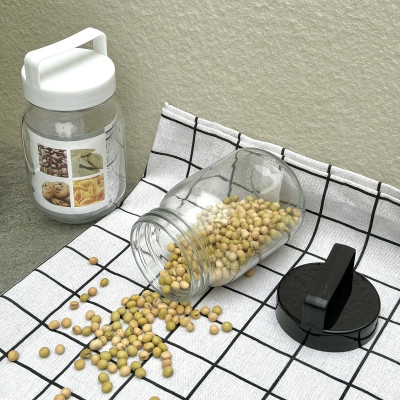 Hũ thủy tinh có quai xách Echo Glass Bottle - Hàng Nội Địa Nhật Bản