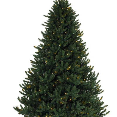 Cây thông Pe cao cấp 2m - Cây thông noel PE -  Cây tự động bung cành