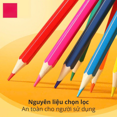 Bút chì màu chuyên nghiệp dạng cốc 24 MÀU Kèm Gọt