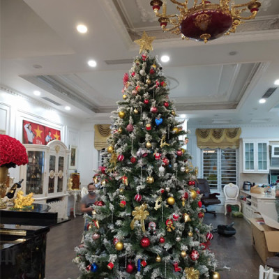 Cây thông noel phủ tuyết cao 1m8 - Cây loại 3 lá dày tán rộng