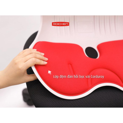 Combo Ghế chỉnh dáng ngồi đúng gia đình Roichen