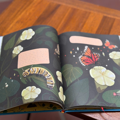 (Bìa cứng in màu) ĐIỀU KỲ DIỆU CỦA THIÊN NHIÊN - Altea Villa; Francesca Sudano – Mai VQ dịch - Ndbooks