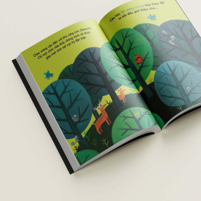 Bộ Sách Tương Tác Khám Phá Thiên Nhiên - Đây Là - Bìa Cứng (Bộ 3 Cuốn)