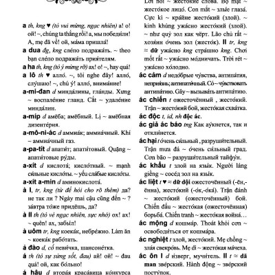 Từ Điển Việt - Nga