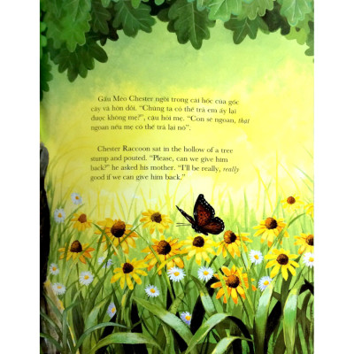 Chiếc Túi Đầy Ắp Những Nụ Hôn (Tái Bản)