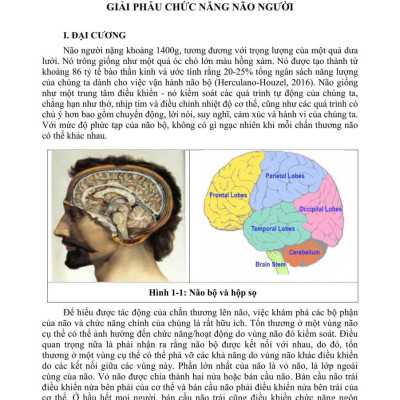 Sách - PHỤC HỒI CHỨC NĂNG CHẤN THƯƠNG NÃO