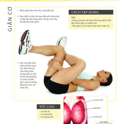 Khỏe Đẹp Với Các Bài Tập Cơ Bản