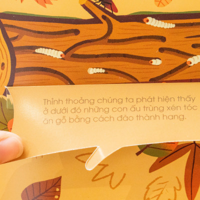 Sách Hình Động Tương Tác – 1001 Câu Hỏi Đáp Về Thế Giới Quanh Ta – Đinh Tị Books