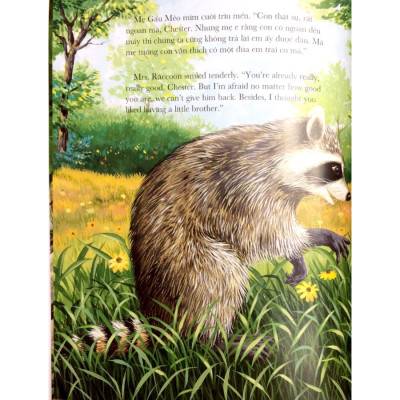 Chiếc Túi Đầy Ắp Những Nụ Hôn (Tái Bản)