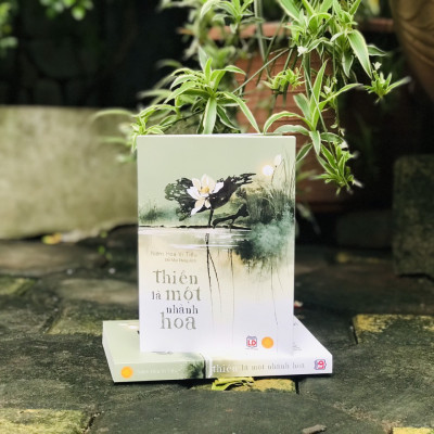 Sách Thiền là một nhành hoa