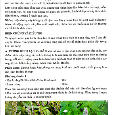 Thuốc Nam Trị Bệnh - Bìa Cứng