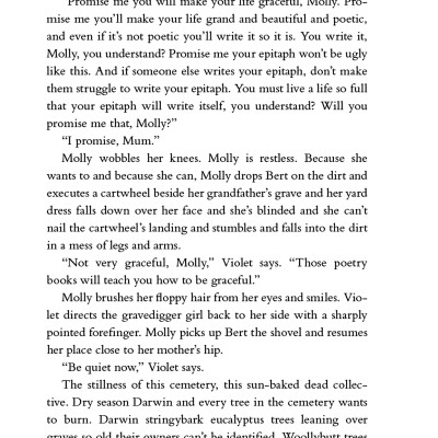 All Our Shimmering Skies