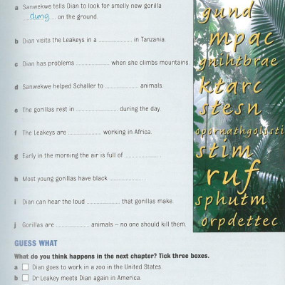 Dominoes 3 Dian and the Gorillas