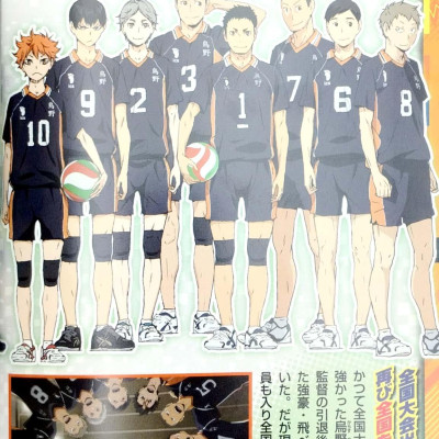 ハイキュー!! TV アニメチームブック vol.1 烏野高校排球部 - HAI KYUU ! !