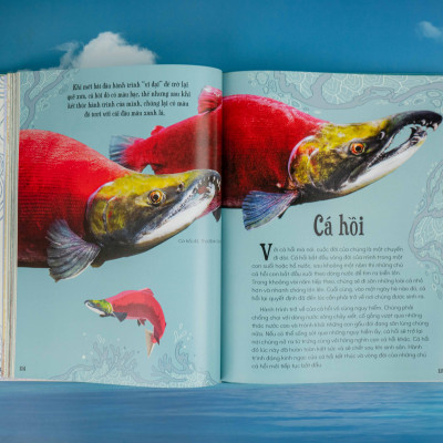 Sách - Bách khoa thư kỳ thú về Vũ trụ - Đinh Tị Books