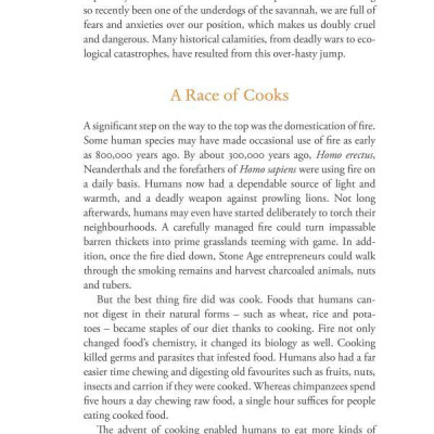 Sapiens : A Brief History of Humankind (Patterns of Life)