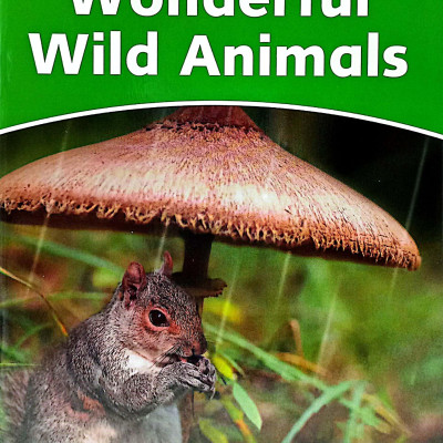 Dolphin Readers Level 3: Wonderful Wild Animals