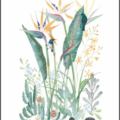 Ultimate Wonder Plants : Your Urban Jungle Interior