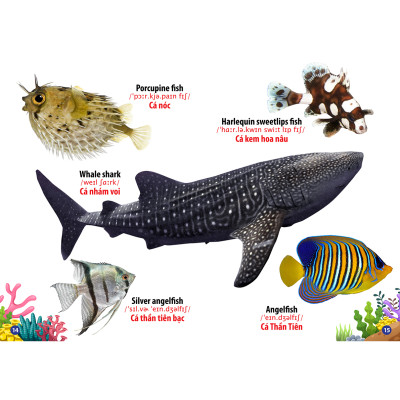 Từ Điển - Thư Viện Hình Ảnh Song Ngữ Đầu Tiên Của Bé - Động Vật Dưới Nước ( bc)