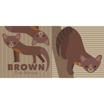 Colors of The Pacific Northwest