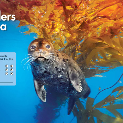 Explore Our World 5: Student