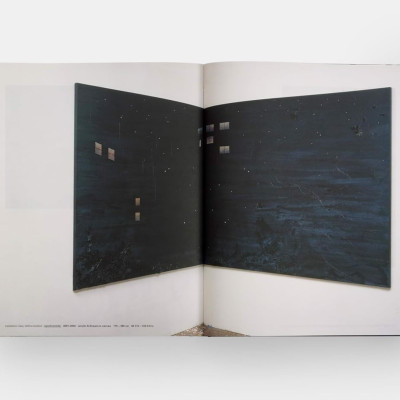 Artbook - Sách Tiếng Anh - Michael Raedecker