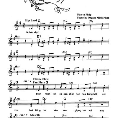 Thực Hành Biểu Diễn Organ Cho Thiếu Nhi – Tập 2