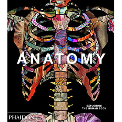 Anatomy