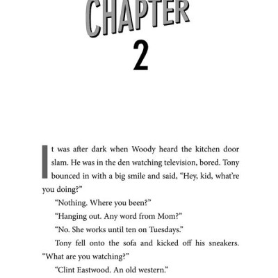 Theodore Boone: The Accomplice