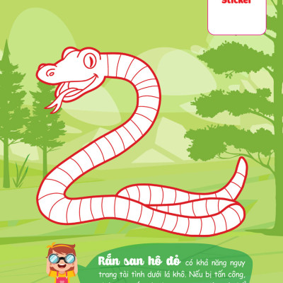 Con Tô Màu - Thám Hiểm Amazon _MEGA	