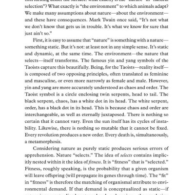 12 Rules For Life: An Antidote To Chaos