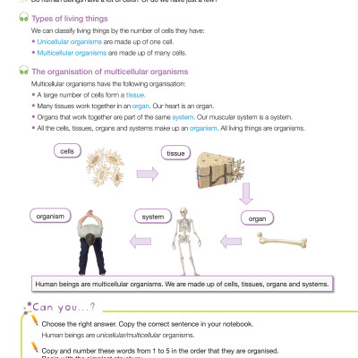 i-Learn Smart Science 5 Student Book