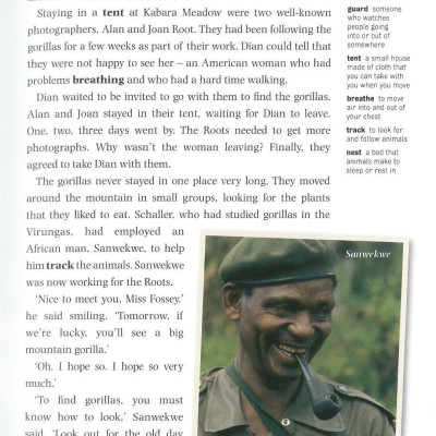 Dominoes 3 Dian and the Gorillas